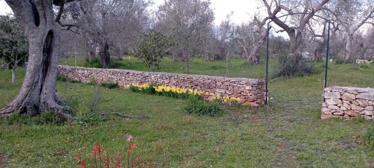 La Petraia Villa Magliano Kültér fotó
