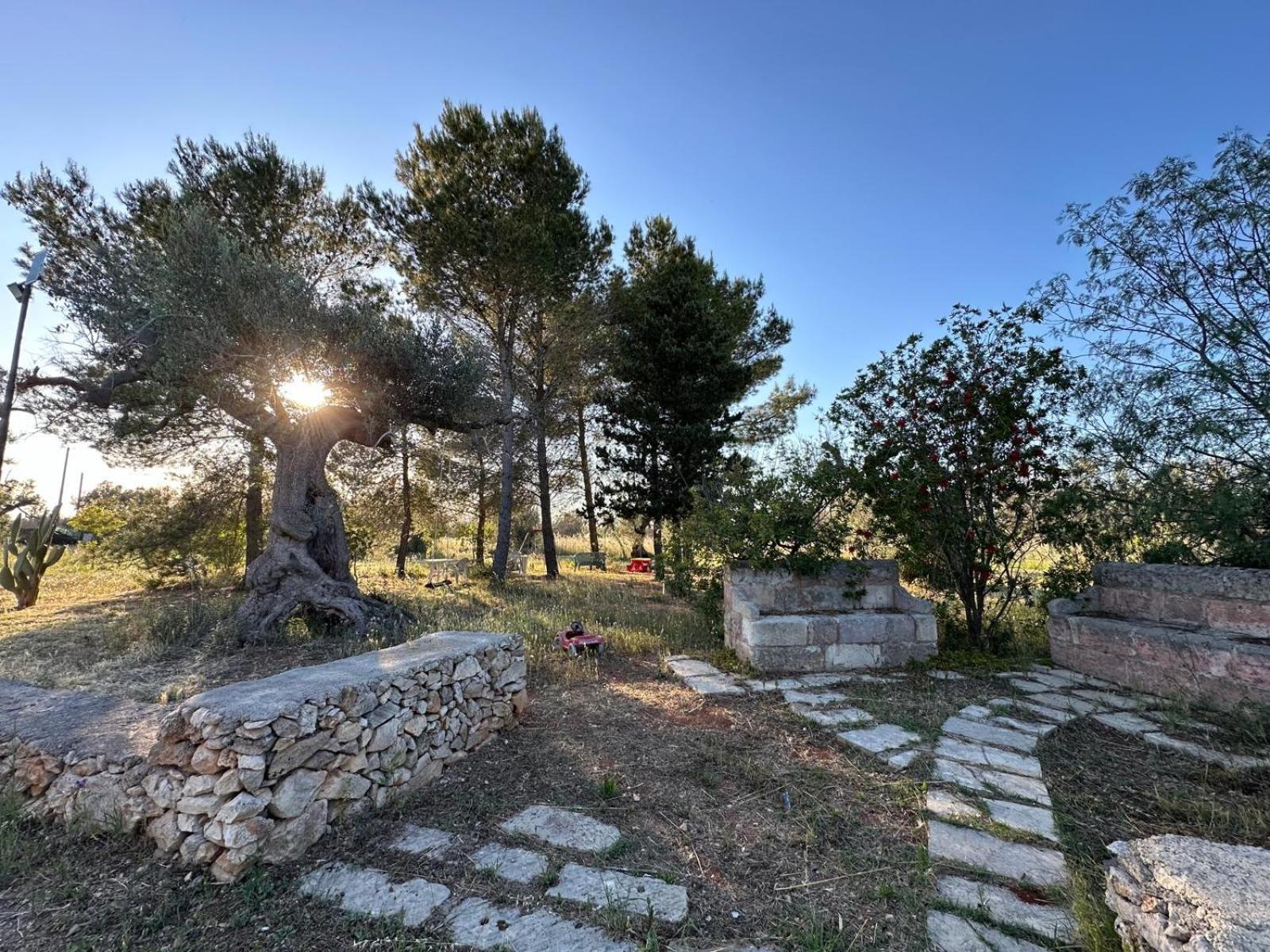 La Petraia Villa Magliano Kültér fotó