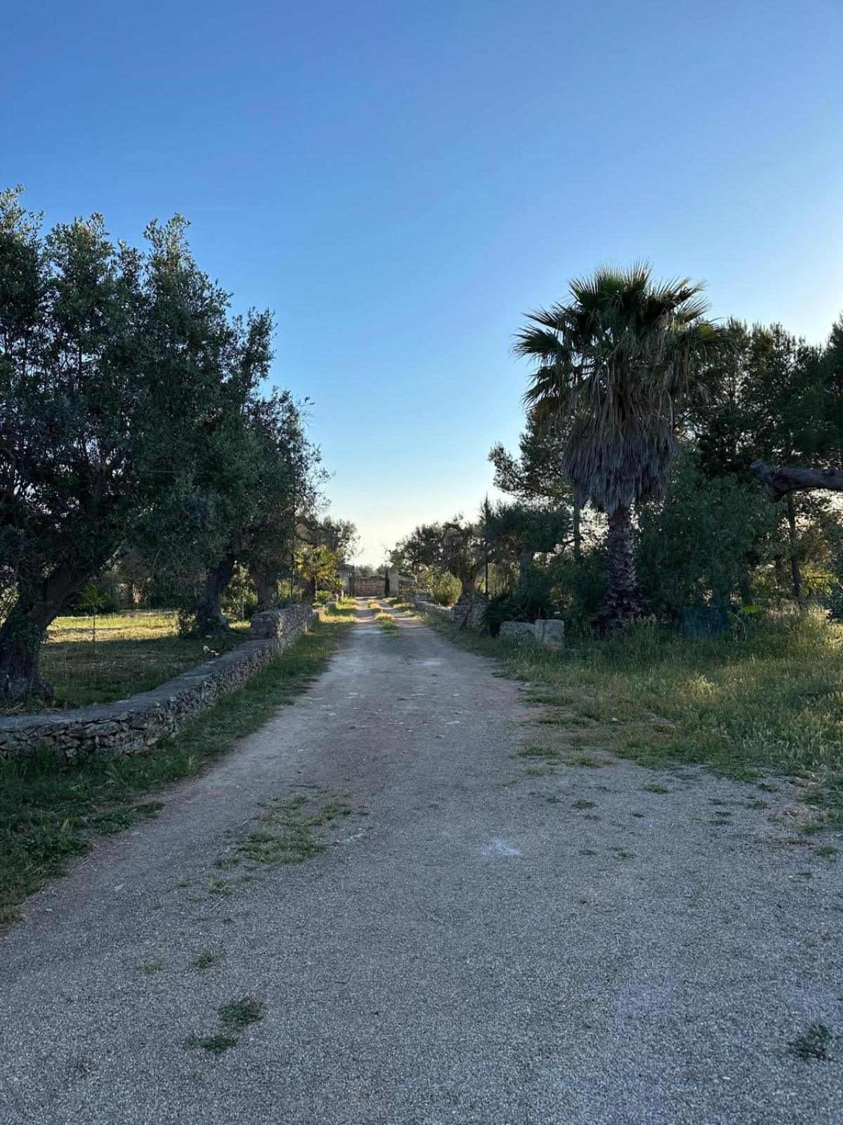 La Petraia Villa Magliano Kültér fotó