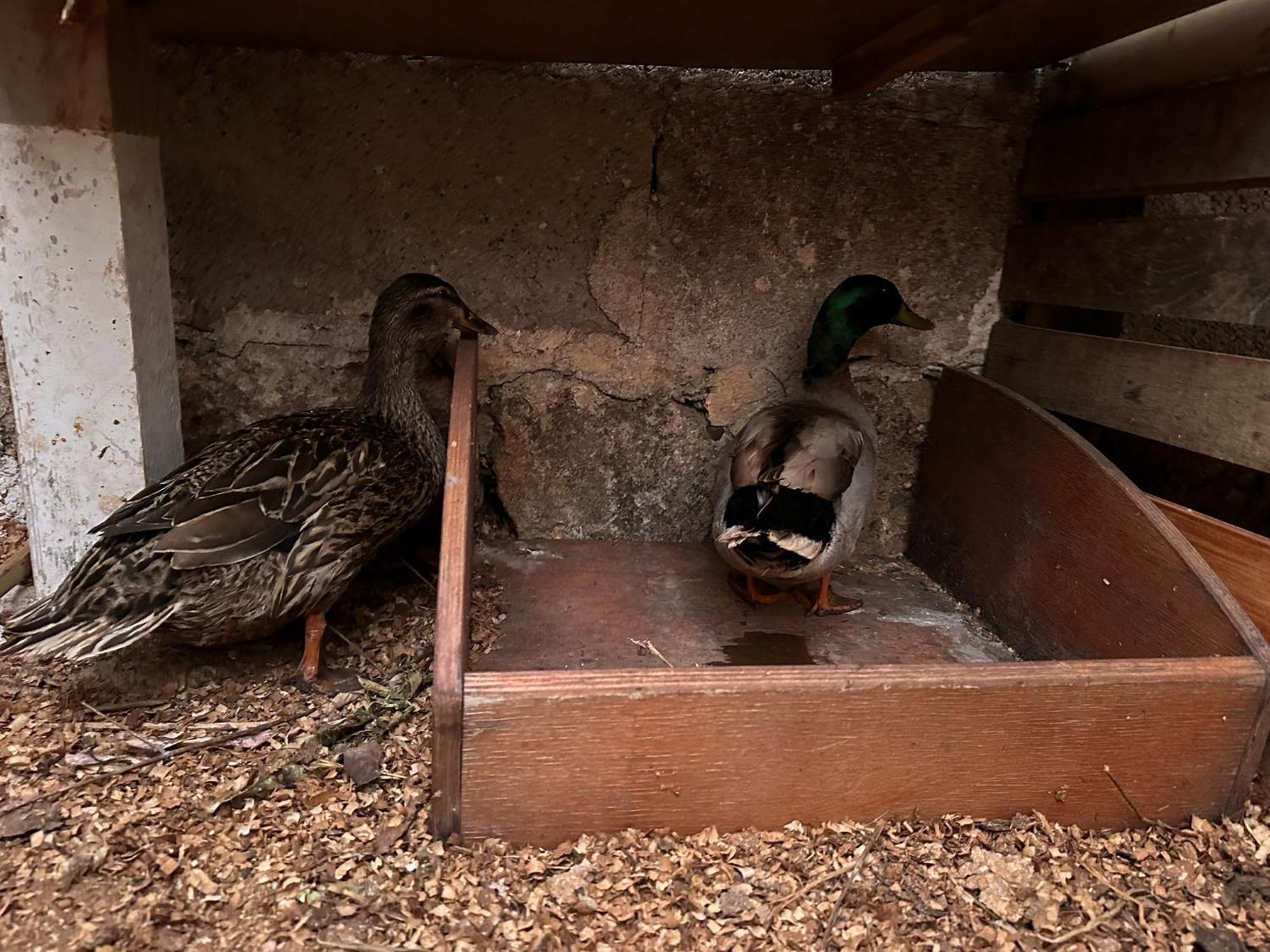 La Petraia Villa Magliano Kültér fotó